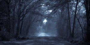 moonlight road